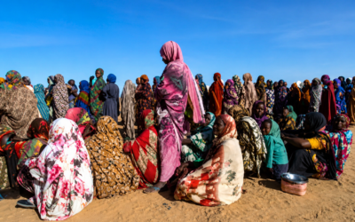 OCHA: Insecurity and Drone Activity Hamper Aid Delivery in Darfur